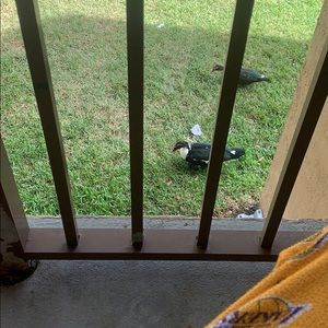 Meet your Posher, Cj